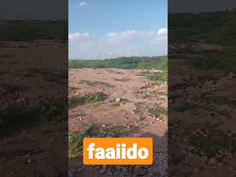 faaido#salafmedia #shmustafe #shortvideo #suaalo_iyo_jawaabo